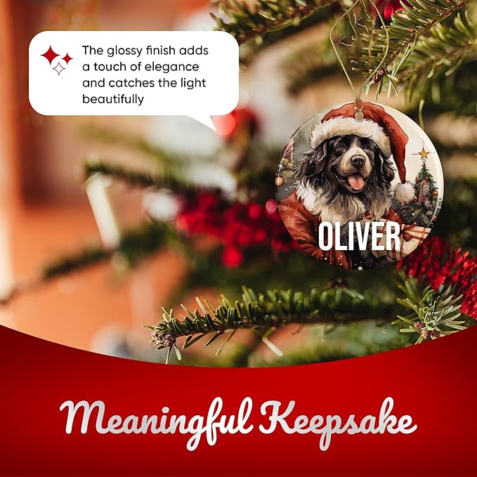 Newfoundland Personalized Dog Ornament - Pet Ornament for Christmas Tree - 3" Round Ceramic - Printed in USA - Choose from 200 Breeds - Dog Mom - Dog Dad - Xmas Decoration DOG0146