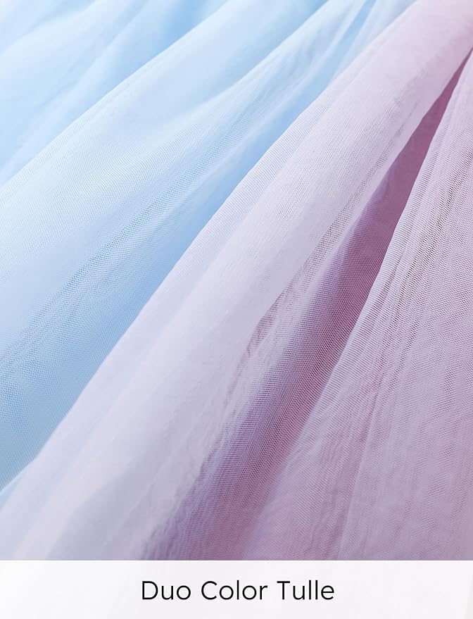 Disney Frozen Elsa Princess Cinderella Ariel Jasmine Rapunzel Baby/Toddler Dress, Ruffle Long-Sleeve Mesh Overlay Tulle Dress