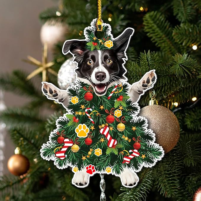 2025 Border Collie Christmas Tree Ornament - Festive Holiday Acrylic Hanging Decoration with Adorable Border Collie Dog - Border Collie Christmas Tree Topper Ornament