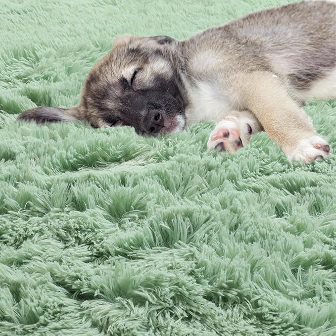 ONASAR Sage Green Round Area Rugs 5ft, Fluffy Soft Bedroom Circle Rug for Kids Girls Boys Teen Room, Cute Furry Plush Shaggy Carpet Floor Mat for Nursery Living Room Playroom Dorm Home Decor