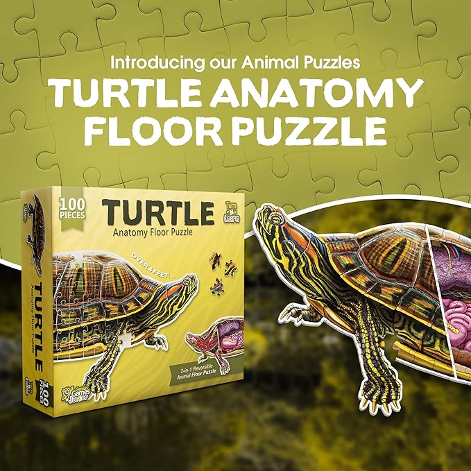 Turtle Animal Anatomy Floor Puzzle | 100-Piece Double Sided Jigsaw Puzzle | Large-Sized, Over 4 Feet Scientifically Accurate Illustration - Fun and Educational Toy for Kids, Toddlers and Families