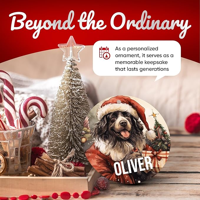 Newfoundland Personalized Dog Ornament - Pet Ornament for Christmas Tree - 3" Round Ceramic - Printed in USA - Choose from 200 Breeds - Dog Mom - Dog Dad - Xmas Decoration DOG0146