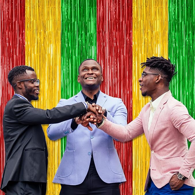 2 Pack Black History Month Decorations, 3.28 FT x 7.05 FT Backdrop Curtains, Red Yellow Green Color Tinsel Backdrop Fringe Curtains Party Streamer, Black History Month Door Decor