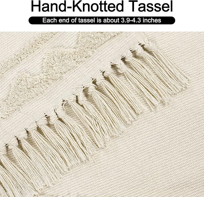 OJIA Boho Area Rug 3'X5', Washable Rugs Entryway Rug Cotton Woven Bedroom Rug Farmhouse Accent Throw Rugs Bohemian Tufted Sun Rug Floor Carpet for Laundry Living Room Kitchen