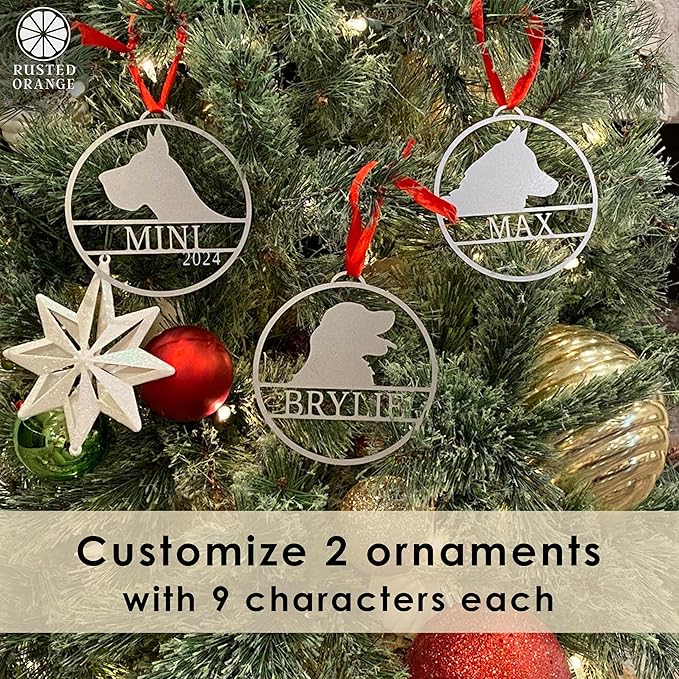 Personalized Pet Ornaments - Set of 2 - Personalized Dog Ornaments for Christmas Tree Custom Cat & Dog Ornament Engraved Pet Photo Ornament 2025 (9 Inch)