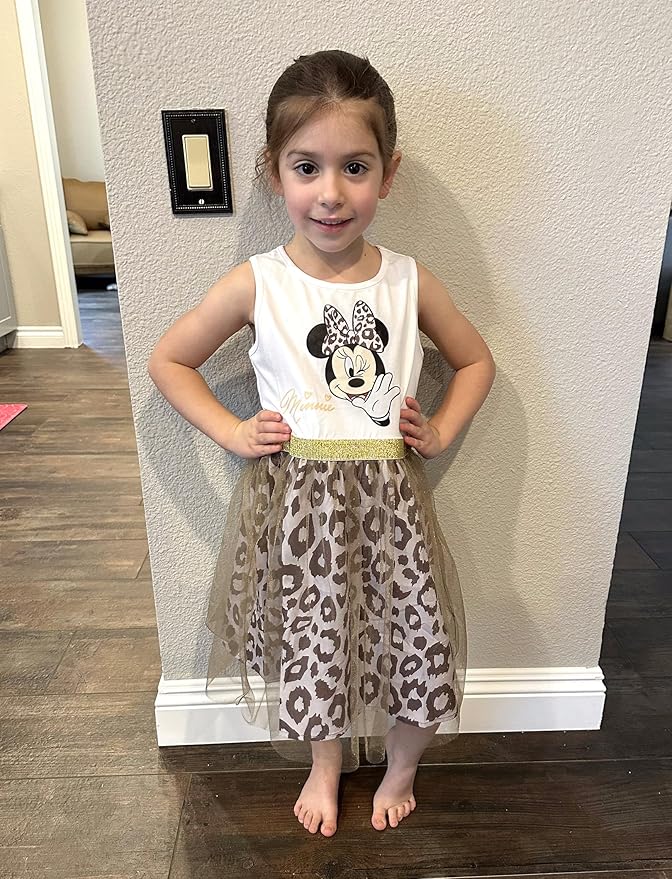 Disney Frozen Elsa Princess Cinderella Ariel Jasmine Rapunzel Baby/Toddler Dress, Ruffle Long-Sleeve Mesh Overlay Tulle Dress