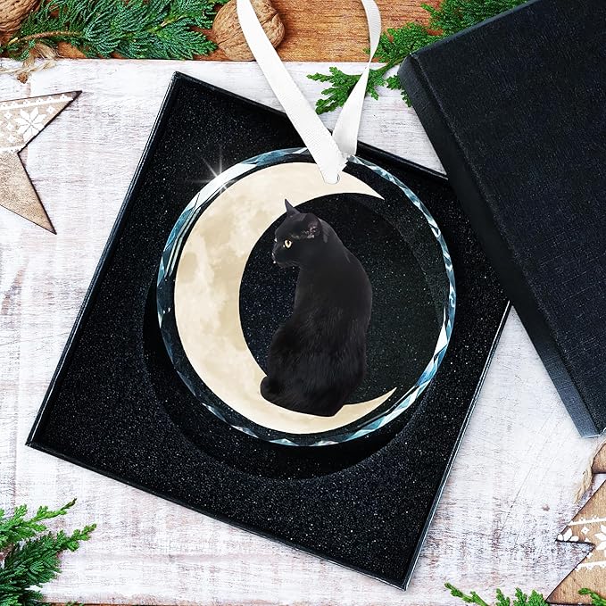 OASSIE Christmas Black Cat Gifts for Women Men - Glass Christmas Ornaments 2025 for Tree Decorations - Funny Cat Lover Gifts for Women Animal Lovers, Funny Ornaments for Xmas Decorations