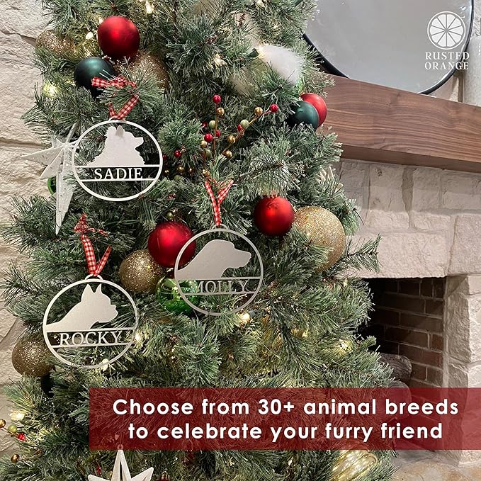 Personalized Pet Ornaments - Set of 2 - Personalized Dog Ornaments for Christmas Tree Custom Cat & Dog Ornament Engraved Pet Photo Ornament 2025 (6 Inch)