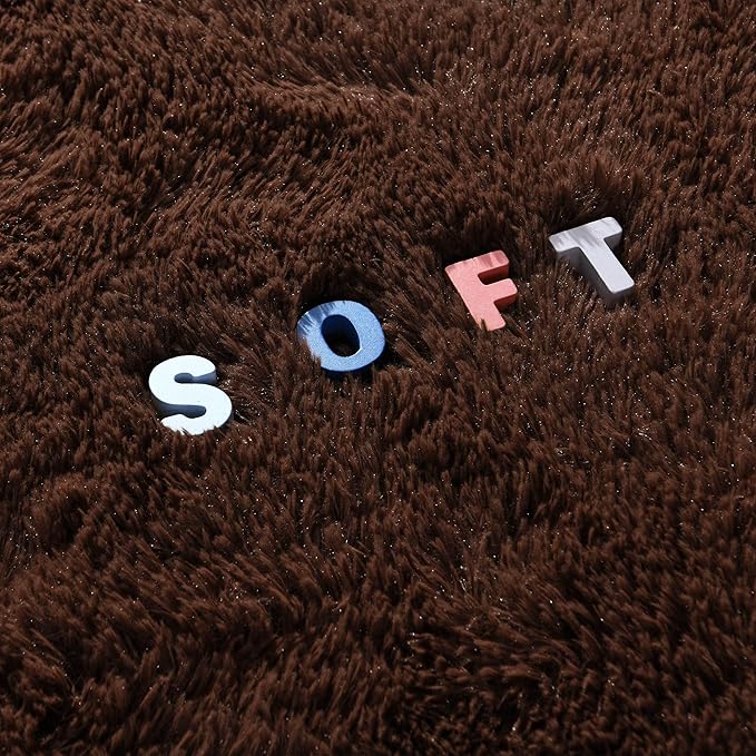 6x9 Living Room Area Rug Non Slip, Fluffy Brown Bedroom Rugs, Large Shaggy Carpet Machine Washable for Nursery Classroom Kids Babys Dorm Home Decor