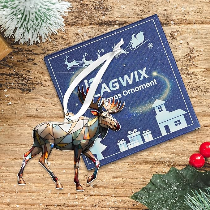 FLAGWIX Christmas Moose Gifts for Women Men - Acrylic Christmas Ornaments 2025 - Moose Ornament, Deer Ornaments for Tree, Deer Hunter Gifts for Mom Dad Family Friend, Outdoor Reindeer Decorations