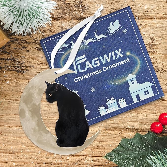 OASSIE Christmas Black Cat Gifts for Women Men - Acrylic Christmas Ornaments 2025 for Tree Decorations - Cat Lover Gifts for Women Animal Lovers, Funny Ornaments for Xmas Decorations